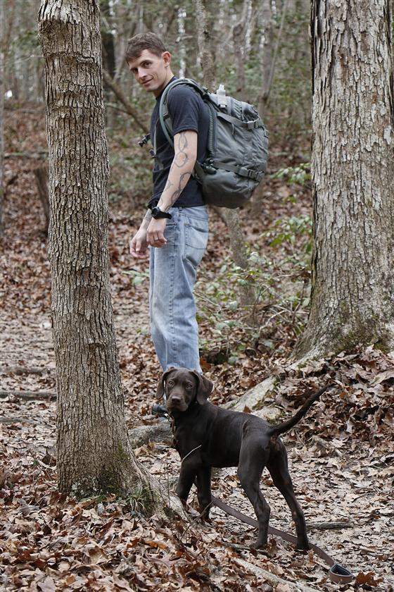 Chiot labrador en promenade, laisse détendue
